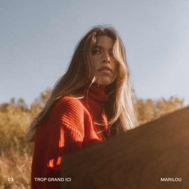 Album cover art for Trop grand ici