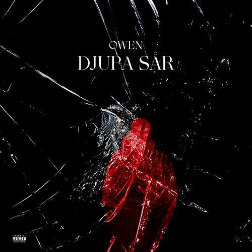 Album cover art for Djupa Sâr