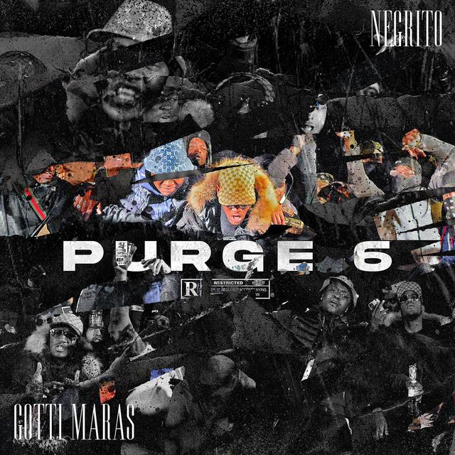 Album cover art for Purge 6