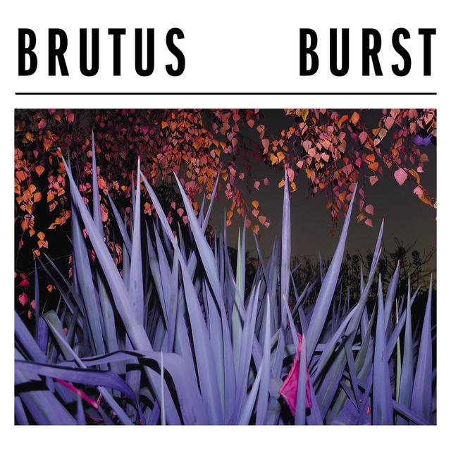 Album cover art for Burst