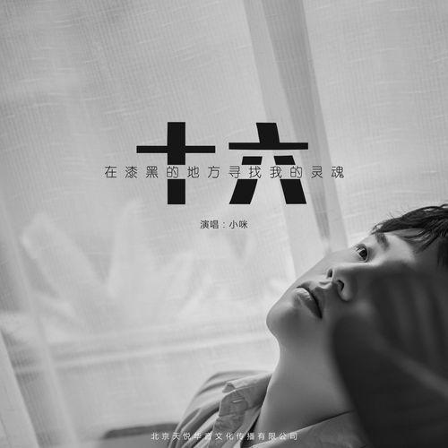 Album cover art for 十六