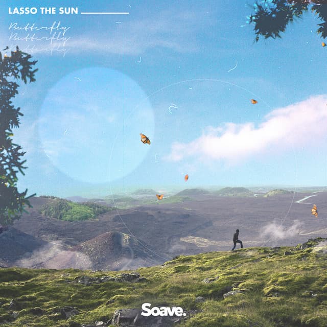 Album cover art for Butterfly