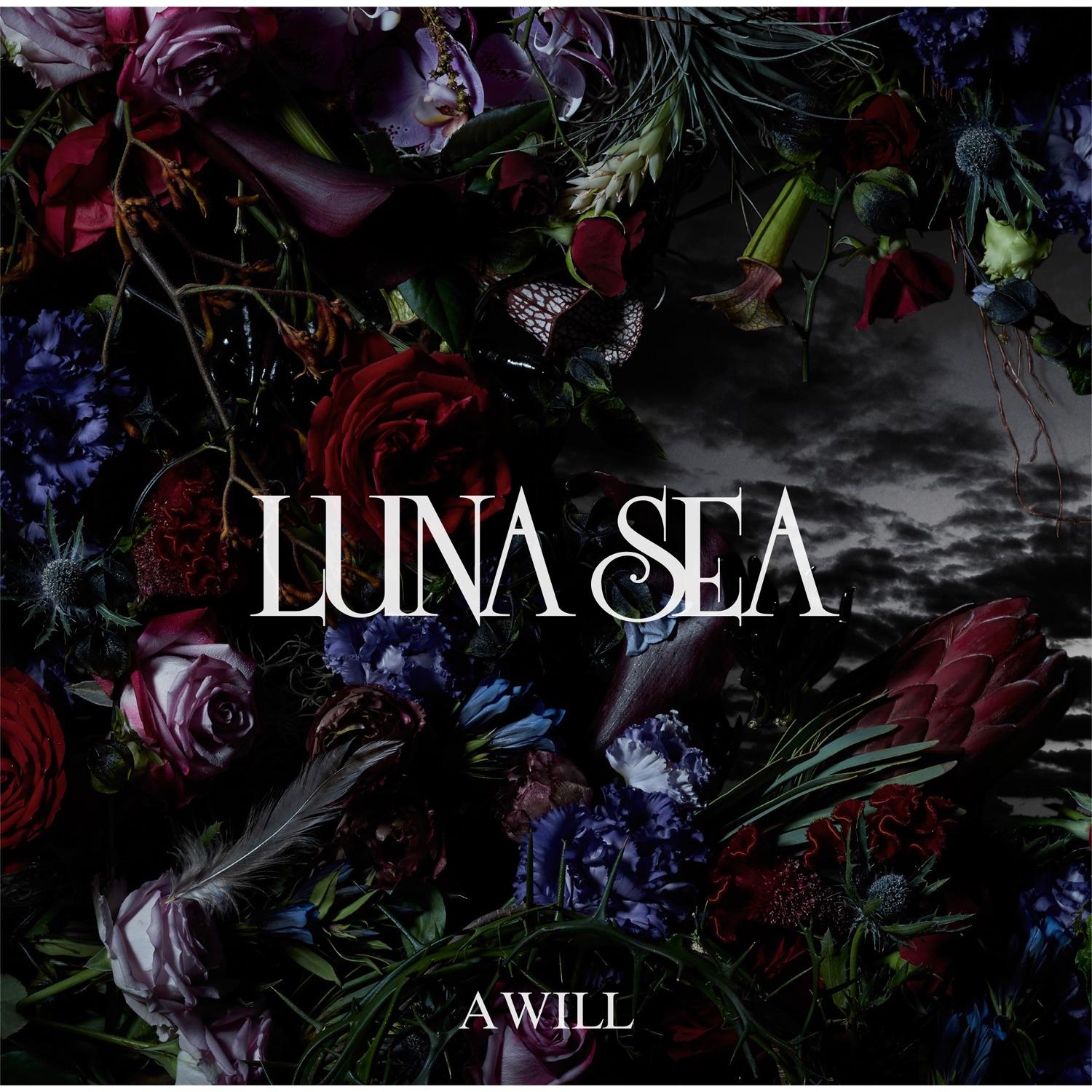 A Will