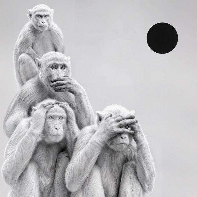 Album cover art for Yin and Yang