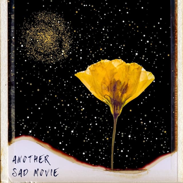 Album cover art for Another Sad Movie