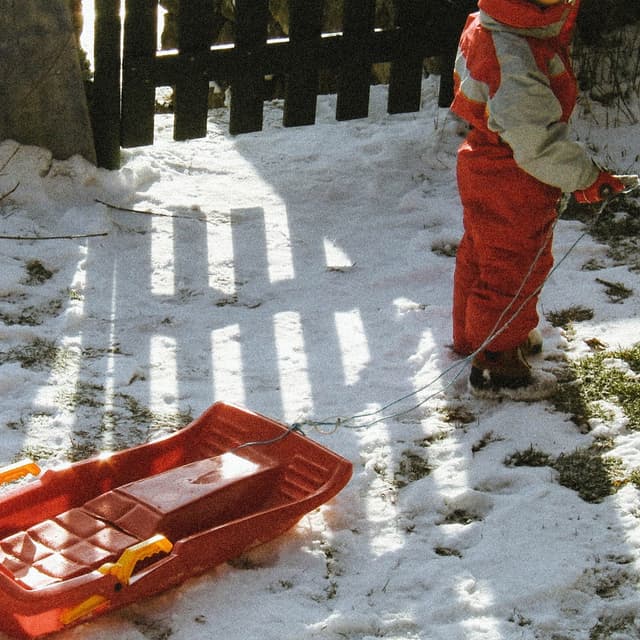 Album cover art for L'hiver s'en ira