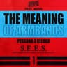 The Meaning of Armbands (Persona 3 Reload)