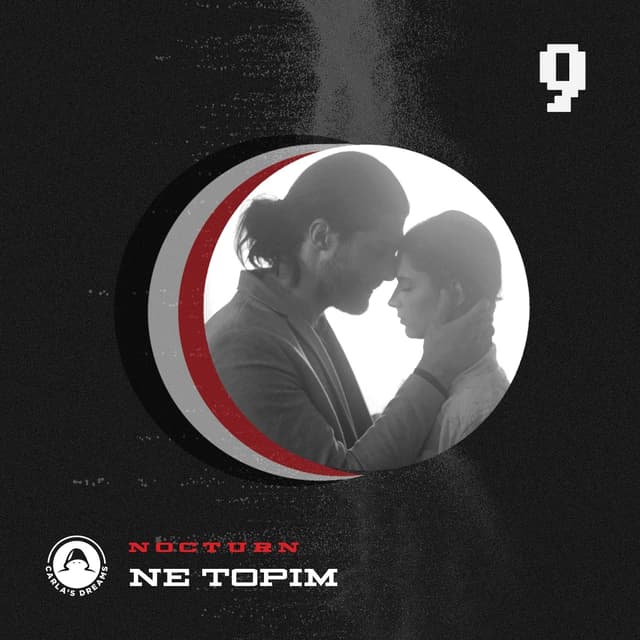Album cover art for Ne Topim