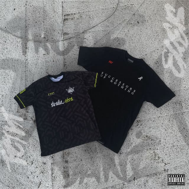 Album cover art for FANELES