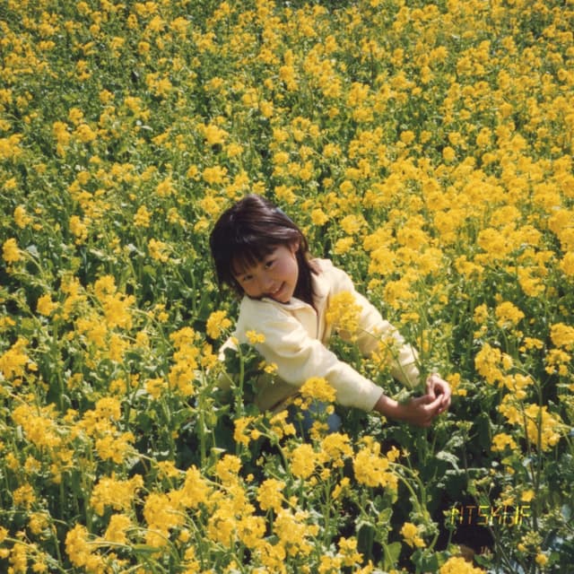 Album cover art for If