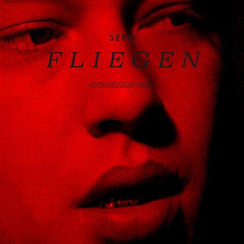 Album cover art for Fliegen