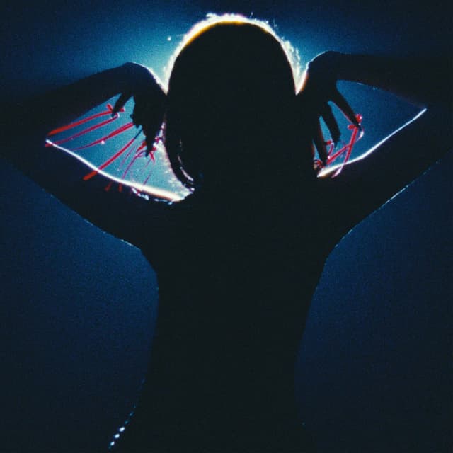 Album cover art for Never Had This