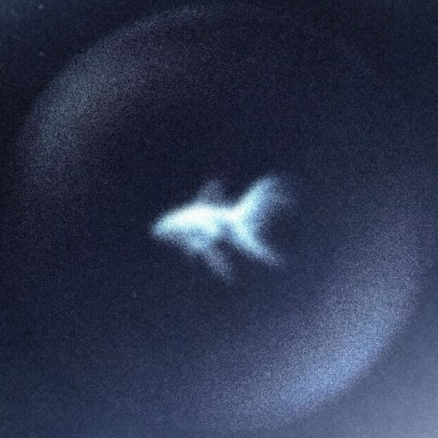 Album cover art for Under The Blue Moon