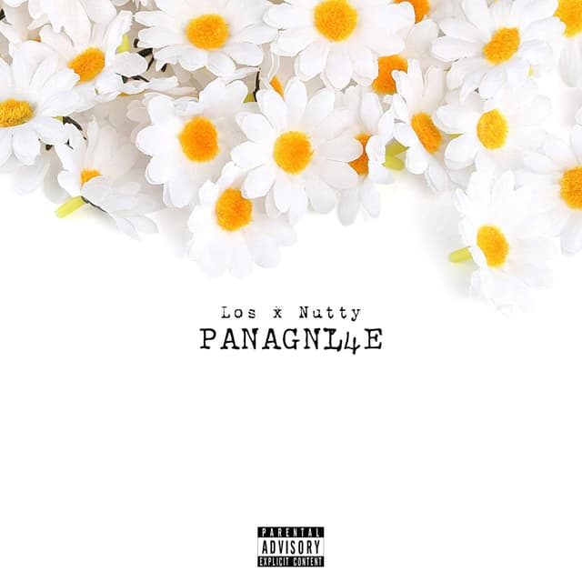 Album cover art for Panagnl4e