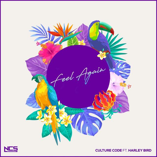 Album cover art for Feel Again
