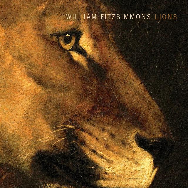 Album cover art for Lions