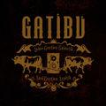 Album cover art for Laino Guztien Gainetik, Sasi Guztien Azpitik