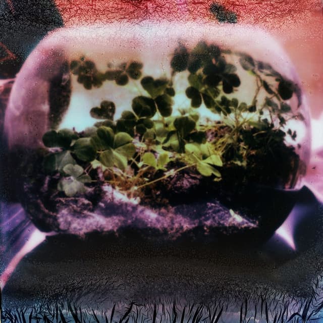 Album cover art for Forever