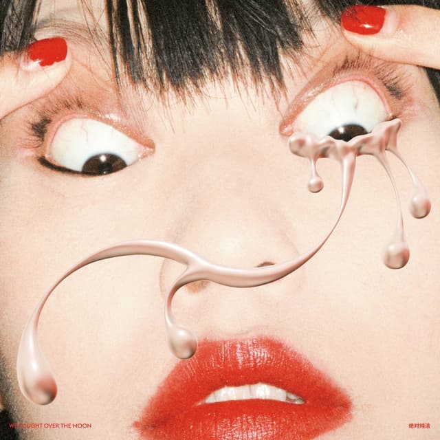Album cover art for We Fought Over The Moon