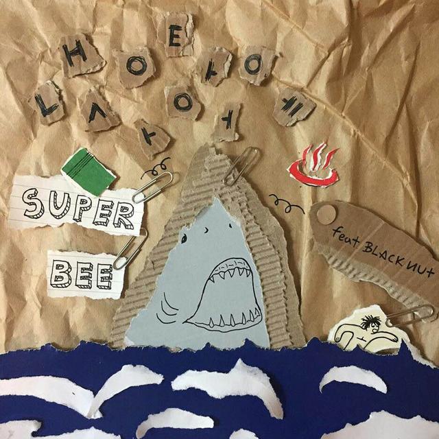 Album cover art for Shark in a Pool