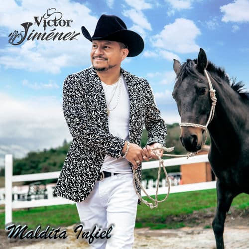 Album cover art for Maldita Infiel