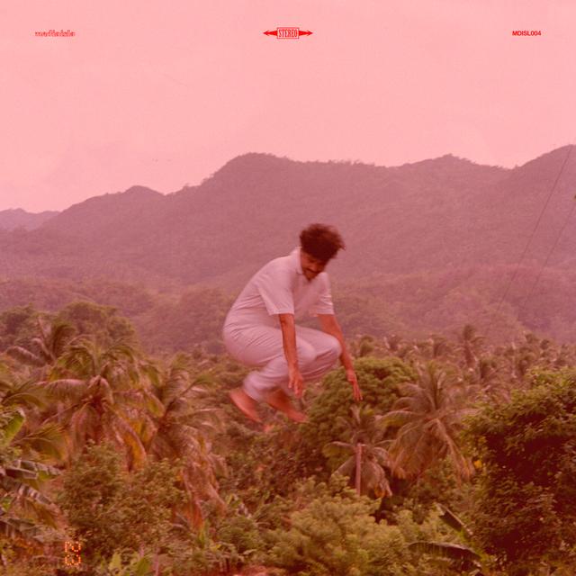 Album cover art for TANDA