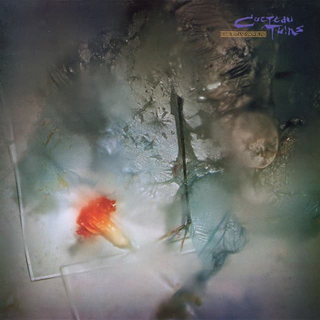 Album cover art for Sunburst And Snowblind