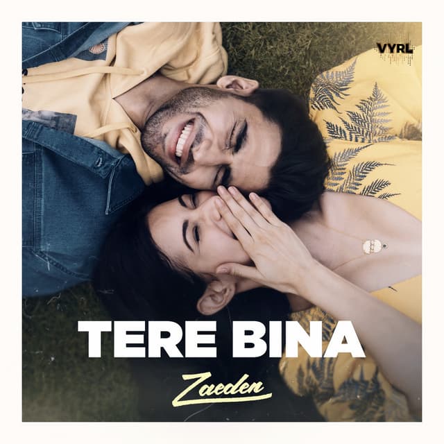 Album cover art for tere bina