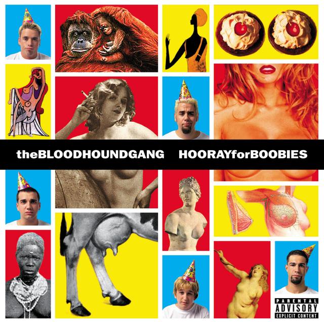 Album cover art for Hooray For Boobies