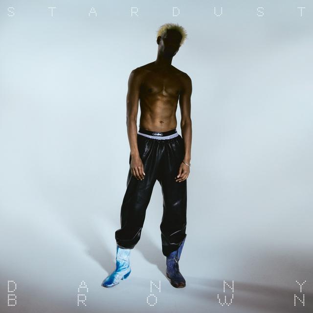 Album cover art for Stardust