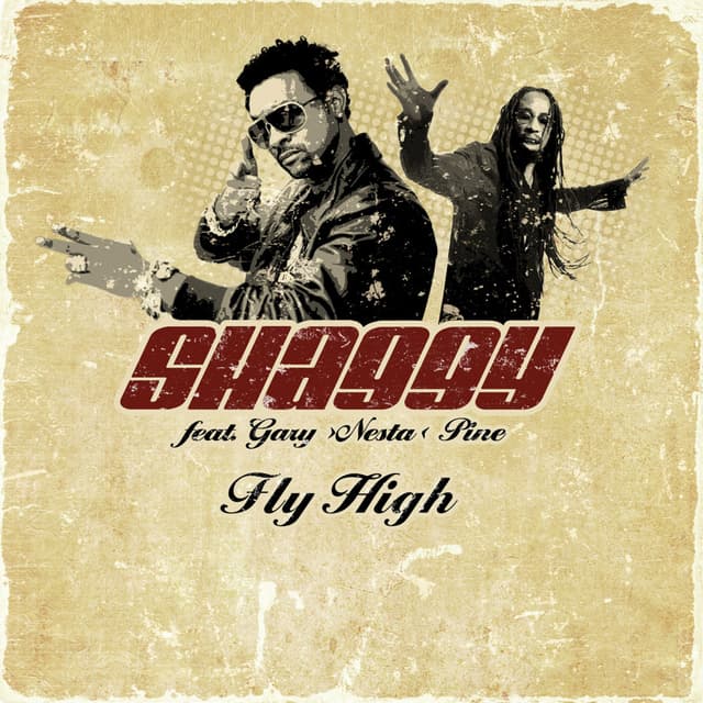 Album cover art for Fly High
