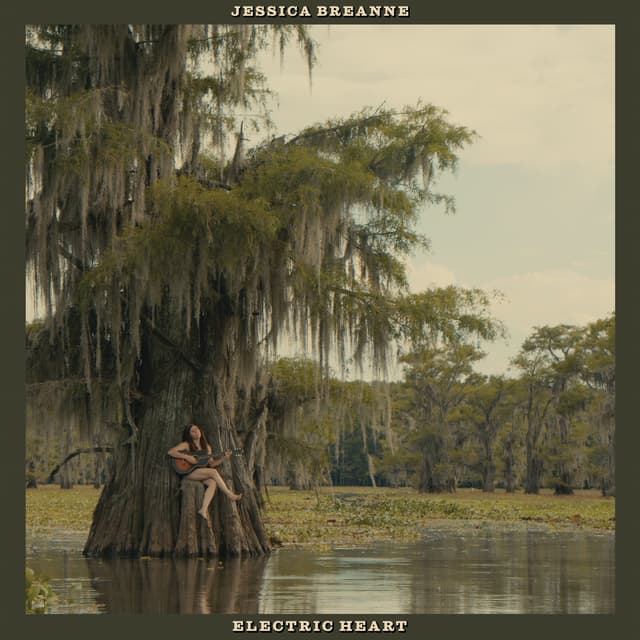 Album cover art for Electric Heart