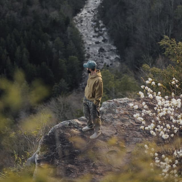 Album cover art for evergreen