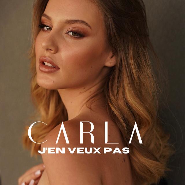 Album cover art for J'en veux pas