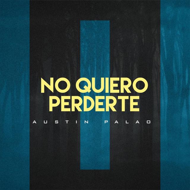 Album cover art for No Quiero Perderte