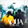 Aqua