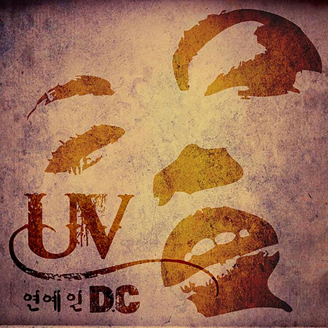 Album cover art for Celebrity D.C
