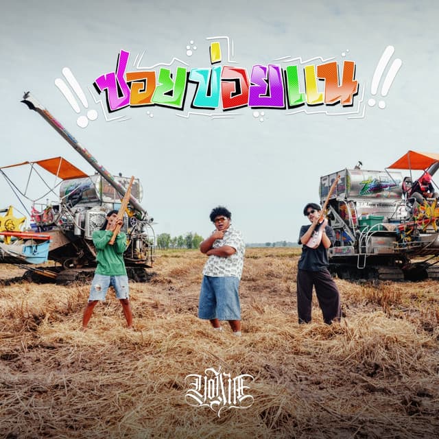 Album cover art for ซอยข่อยแน