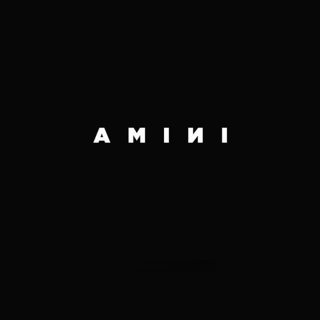 Album cover art for AMINI