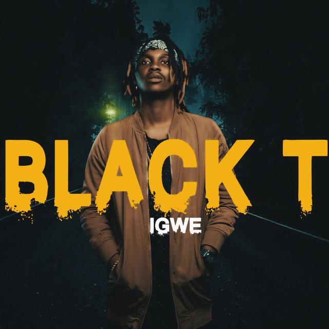 Album cover art for Boto