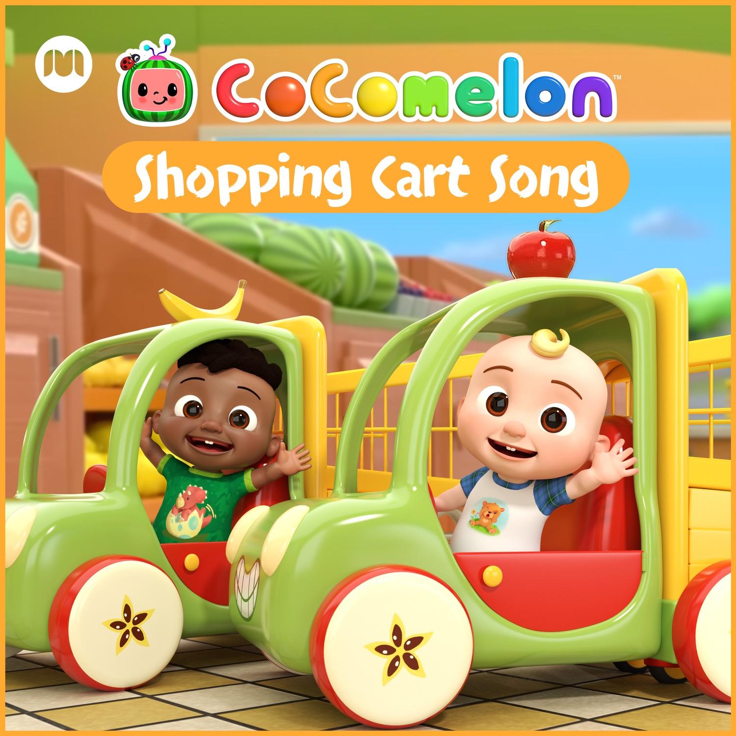 Shopping Cart Song