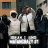 MatanCrazy #1 (Stupido)