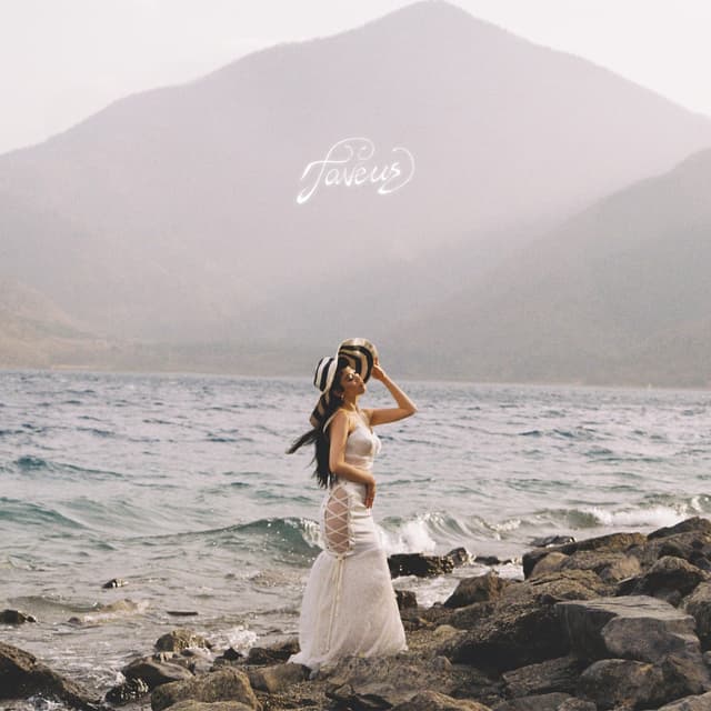 Album cover art for faveur