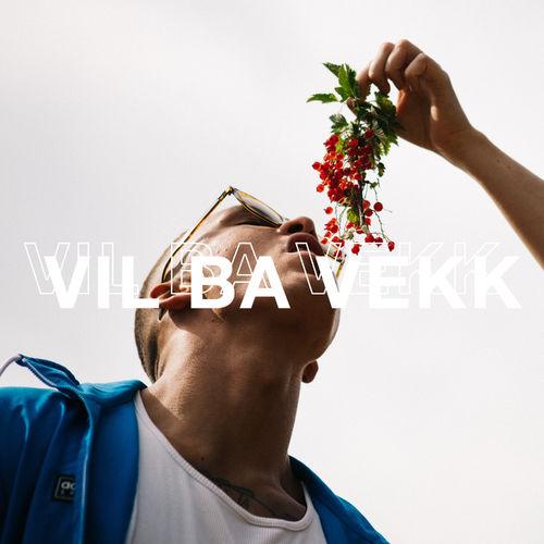 Album cover art for Vil Ba Vekk