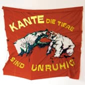 Album cover art for Die Tiere sind unruhig