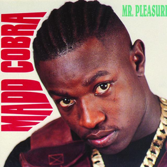 Album cover art for Mr. Pleasure