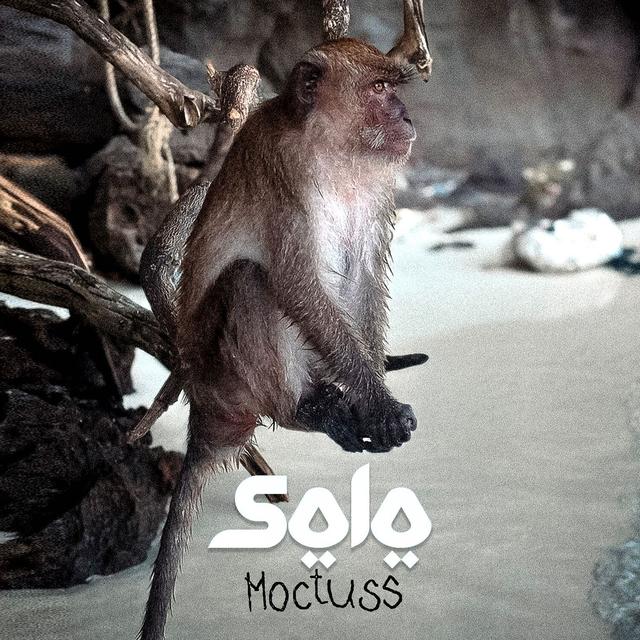 Album cover art for SOLO