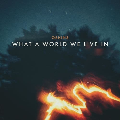 Album cover art for What a World We Live In