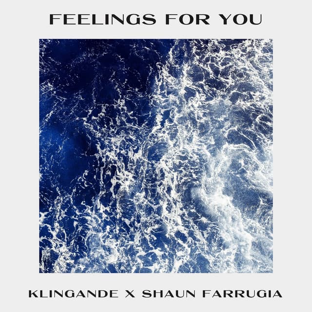 Album cover art for Feelings for You