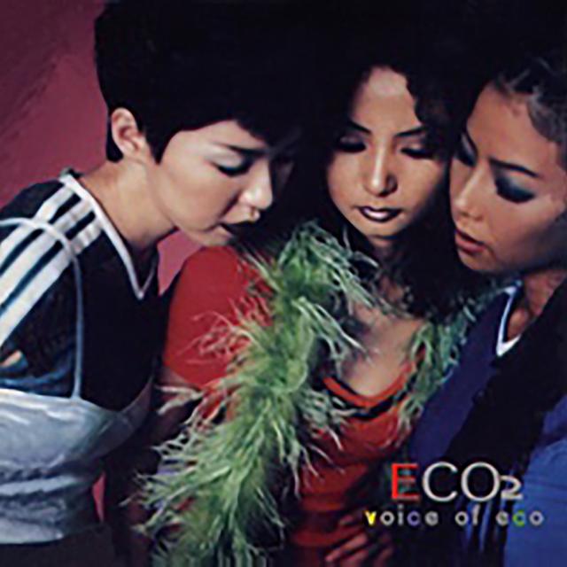 Album cover art for Voice Of Eco